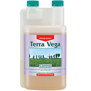 terra-vega.jpg